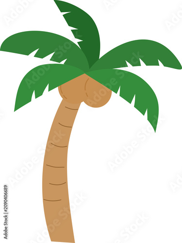 Palm Tree