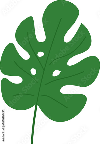 Monstera Leaf