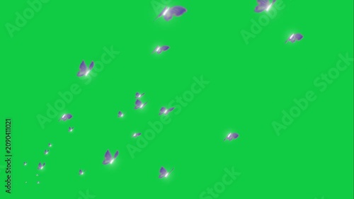 Flying Butterfly Stream Swarm Animation Green Screen VFX Chroma Key