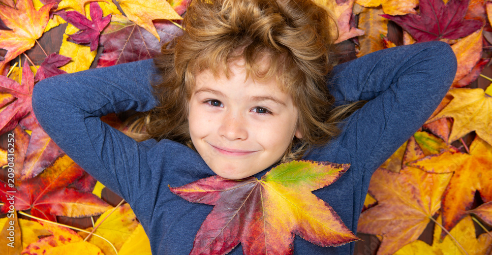 Naklejka premium Maple leaf near smiling boy. Maple leaf beside child face. Autumn portrait includes maple leaf. Fall colors show maple leaf.