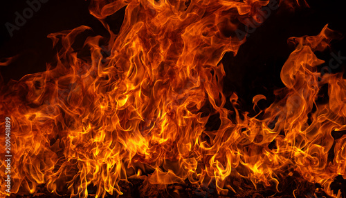 Canvastavla Flames burn on black background