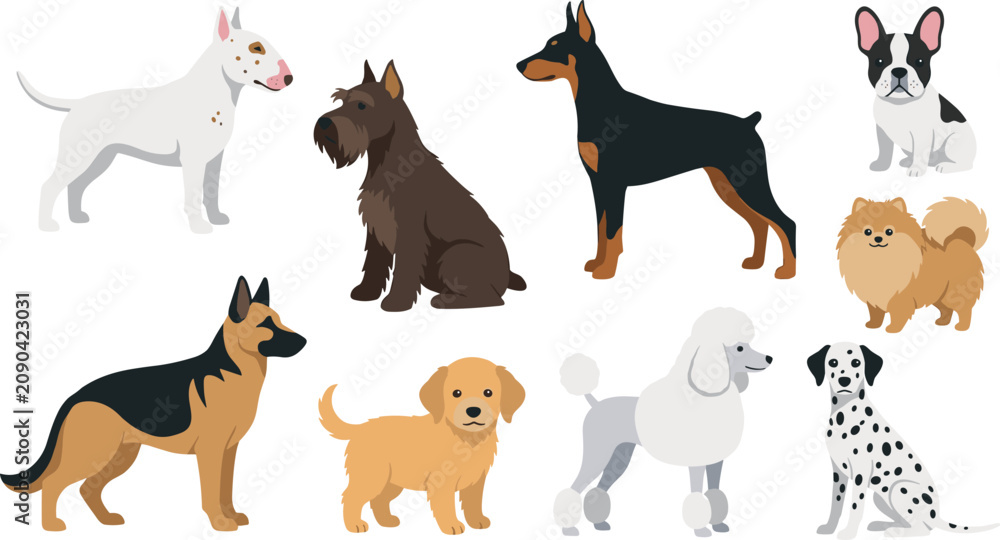 Obraz premium Different Dog Breeds Cartoon Characters Collection with German Shepherd Doberman Poodle Dalmatian Bull Terrier and Pomeranian for Pet Care Shop Icon Flat Vector Illustration