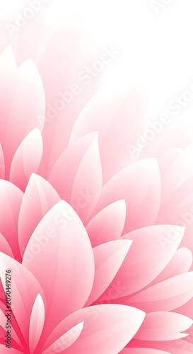 Soft Pink Flower Petals Layered in Bright Minimal Floral Background