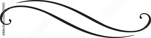 Elegant Swirl Flourish Decorative Element for Design and Invitation