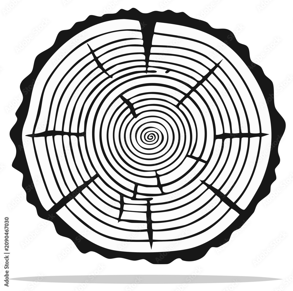 Fototapeta premium Abstract black and white wood log cross section with growth rings and bark texture
