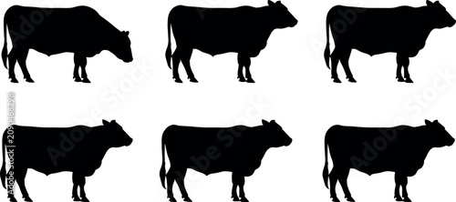 Bild auf Leinwand Beef Cow and Cattle Breed Silhouette Set with Different Livestock Bulls for Farm