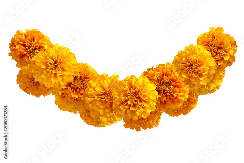 Marigold flowers arranged in a festive toran design isolated on transparent background, Clipart png
