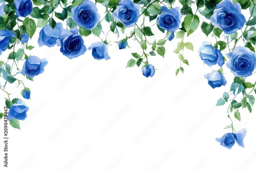 Obraz premium Hanging blue roses illustration watercolor flowers.