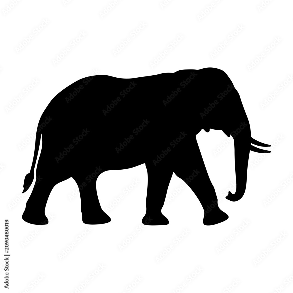 Fototapeta premium Silhouette of an Elephant Walking in Profile.