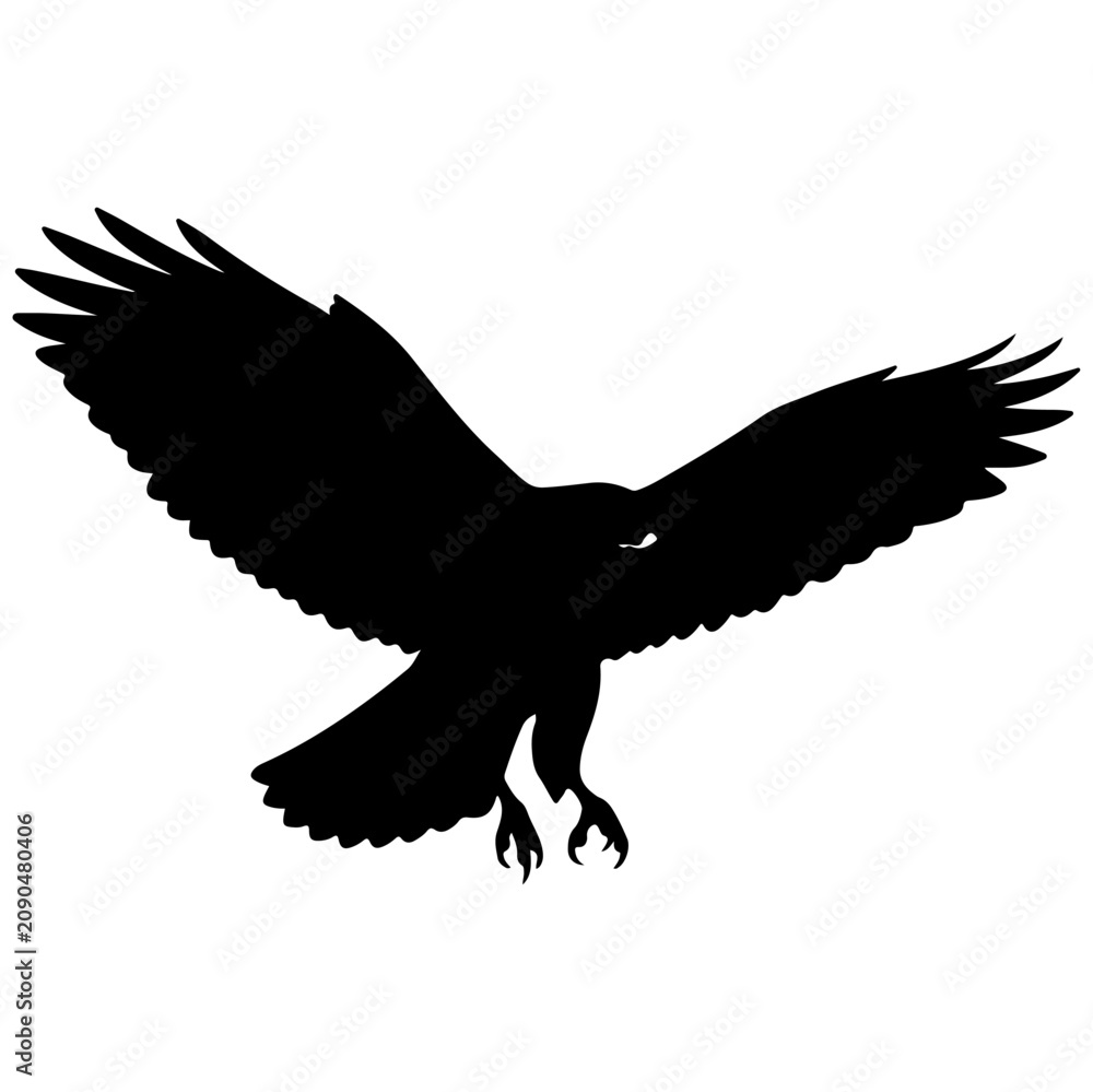 Fototapeta premium Silhouette of a Soaring Bird with Outstretched Wings.