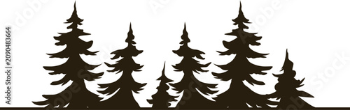 vector silhouette of a dense pine