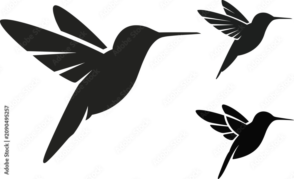Fototapeta premium Hummingbird silhouette set isolated on white background featuring three black colibri birds in flight vector illustration for graphic design