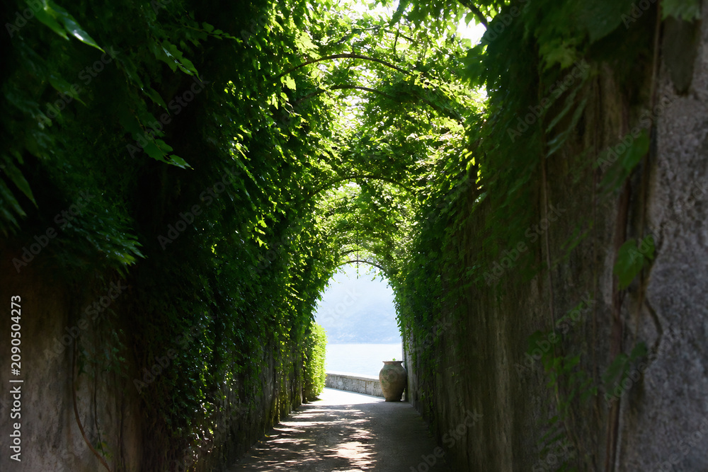 Naklejka premium A sunlit, tree-lined pathway leads through a green archway between high stone walls.