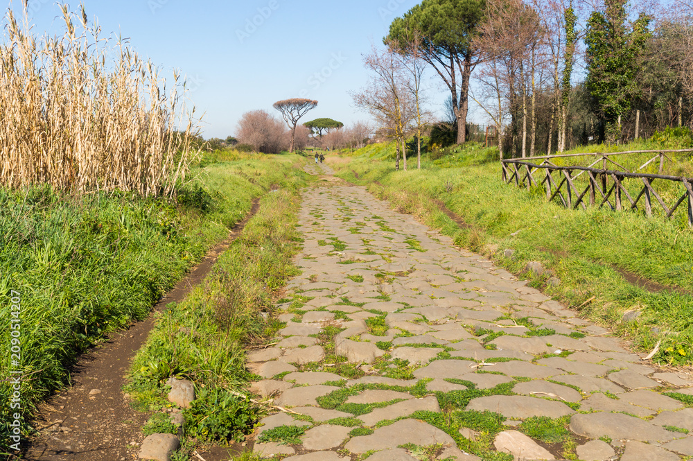 Naklejka premium Appia antica (Old Appia) near Rome, Italy