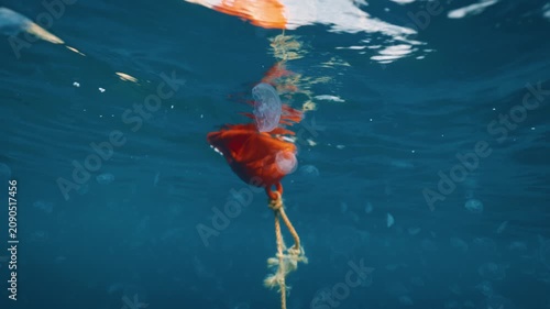 Orange buoy hangs on rope below bright waterline while translucent jellyfish shapes drift through deep blue water, with soft light, blurred reflections, centered composition, calm ocean mood