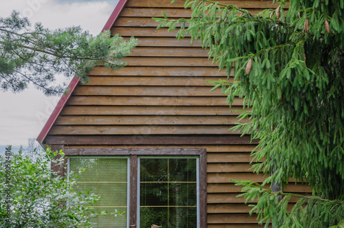 Wooden wall of a house with a window and pine tree