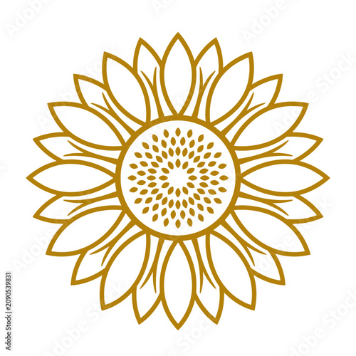 Symmetrical sunflower head line art illustration.