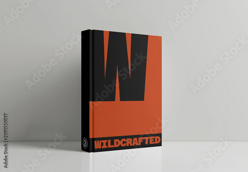 Bold Modern Book Cover Mockup PSD