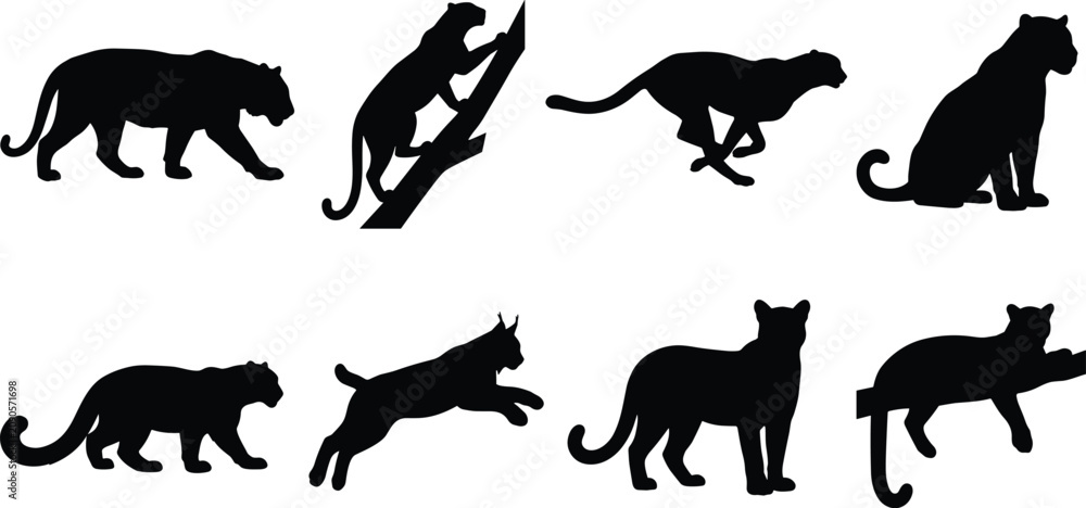 Fototapeta premium Big cat behavior silhouette icon set featuring walking, climbing, running, and resting poses