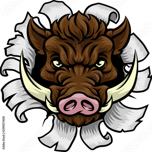 A wild boar, hog razorback ...