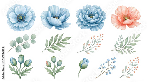 Watercolor floral illustrations with leaves and flowers