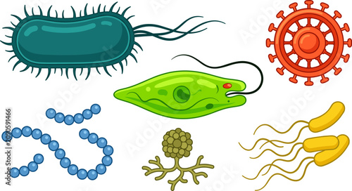 Microscopic bacteria virus and micro organism vector illustration collection featuring flagella structure euglena amoeba and spore cells isolated on white background.
