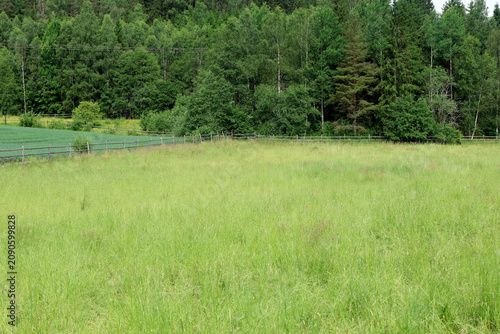 Field