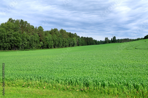 Field