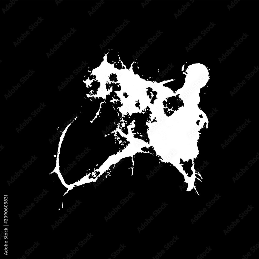 Obraz premium Grunge birds droppings black and white. Flat blots style vector illustration. Map. Abstract paint drop.