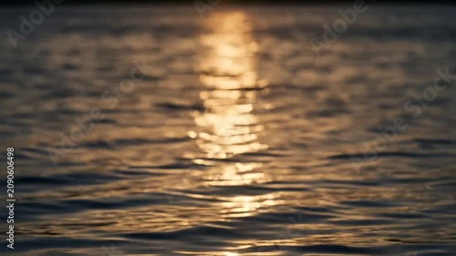 Golden sunlight reflects on the gentle ripples of dark water