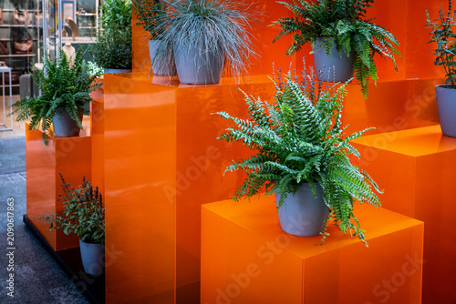 Fotografía Modern Urban Display With Lush Green Potted Plants on Bright Orange Geometric Pl