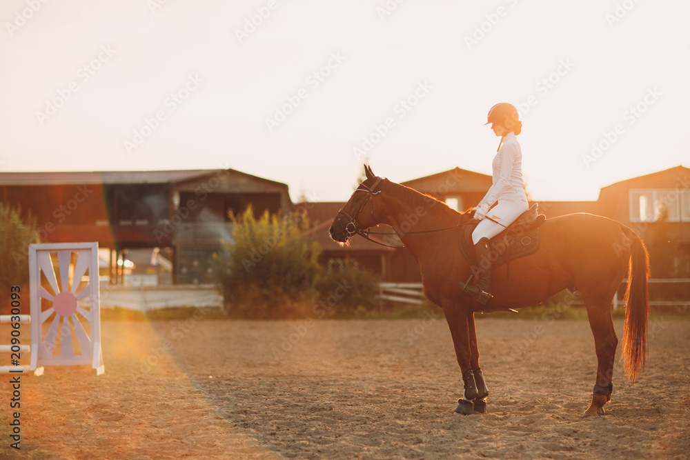Obraz premium Woman rider jockey in helmet and white uniform sitting on horse at sunset. Profile view.
