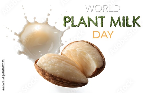 Fresh almond milk splash with organic almond, world plant milk day concept