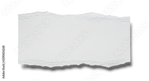 Blank White Torn Paper Strip Isolated on Clean White Background