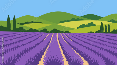 Rolling lavender field in vivid purple rows leading toward soft green summer hills, sunny countryside vector landscape for Provence travel, botanical farm branding, wellness packaging and rural decor