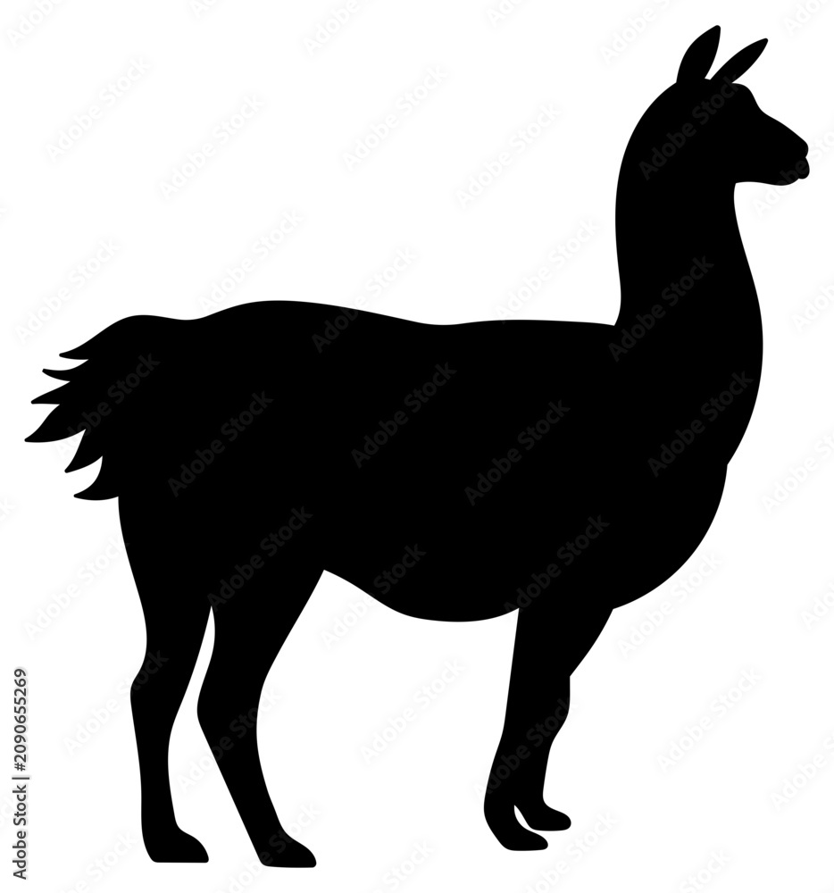 Fototapeta premium Llama silhouette vector illustration isolated. Black alpaca profile shape icon for logo design corporate identity branding cute animal pet poster sticker shirt print or pattern.