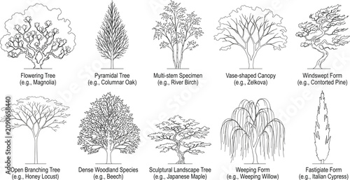 Foto Black and white line illustration set of diverse tree forms including flowering,