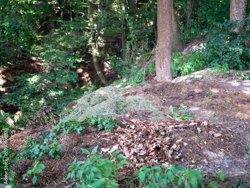 Tableau sur toile Illegal waste dumped in a forest near a ravine