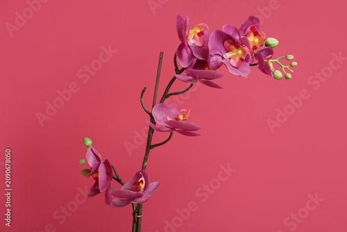 Artificial orchid flower on...