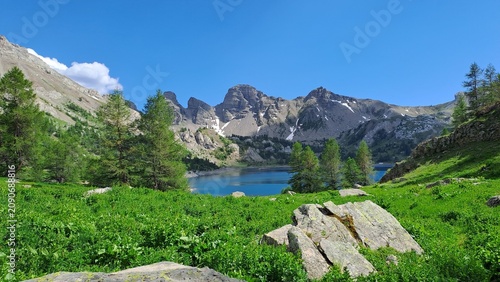 allos