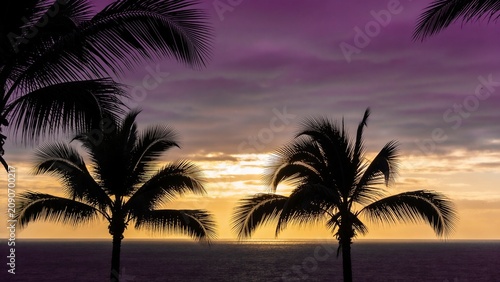 Dramatic palm tree silhouettes stand against a vivid purple and gold tropical sunset over calm ocean waters, perfect for hospitality and relaxation marketing materials.