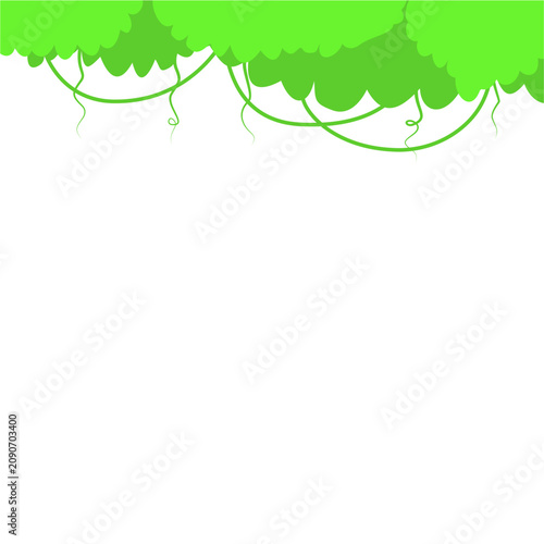 Forest Leaves Border