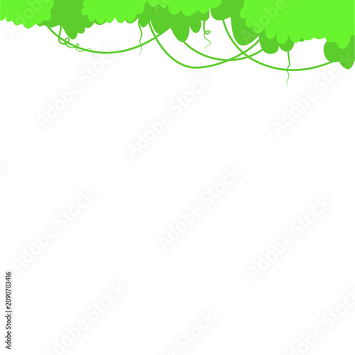 Forest Leaves Border