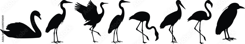 Fototapeta premium Water Bird Silhouette Collection Featuring Swan Heron Crane Flamingo and Crow Vector Set