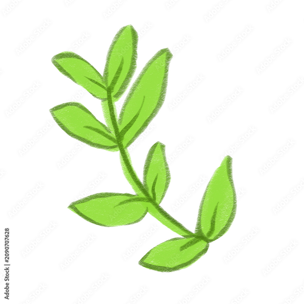 Fototapeta premium fresh green leaves illustration