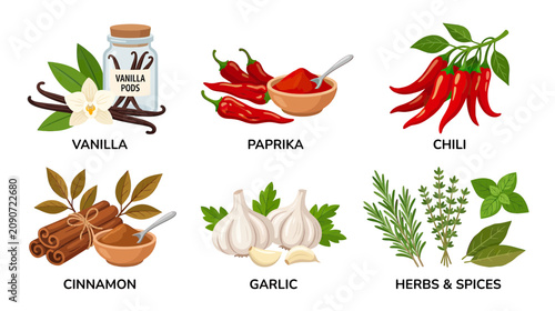 фотографія Assortment of Spices and Herbs: Vanilla, Paprika, Chili, Cinnamon, Garlic, and M