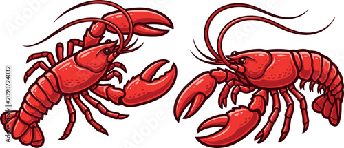 Photography Two red lobster crawfish marine animals illustration set isolated on a plain whi