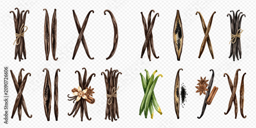 Konstfotografi Set of vanilla pods and beans, some tied with string, some open, and some with flowers and spices