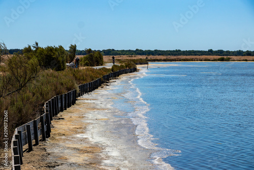 A scenic summer view of a traditional salt marsh in Ile de Re, France, featuring bright blue water, white salt deposits along a wooden palisade, and distant people enjoying a bike ride under a clear b