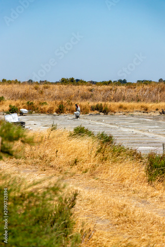 A distant view of a salt worker with a wheelbarrow manually harvesting sea salt in the traditional clay evaporation ponds of Ile de Re, France, surrounded by dry summer vegetation.